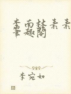 李南林素素小说笔趣阁