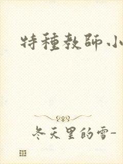 特种教师小说