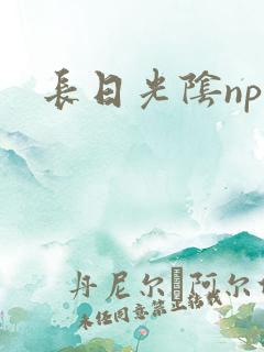 长日光阴np