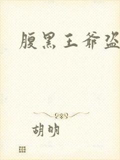 腹黑王爷盗墓妃