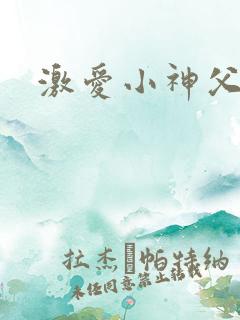 激爱小神父