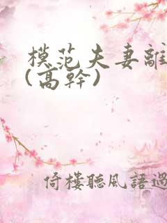 模范夫妻离婚了(高干)