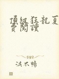 顶级狂龙夏天免费阅读