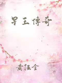 星王传奇