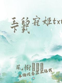 王的宠姬txt下载