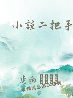 小说二把手