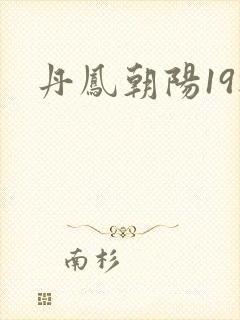 丹凤朝阳19楼