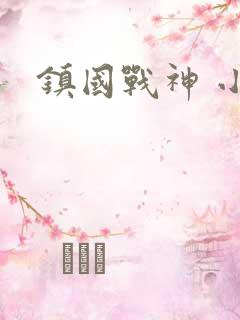 镇国战神 小说
