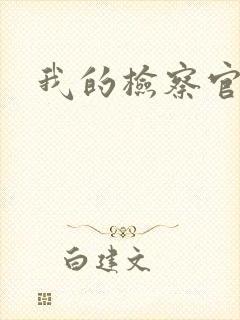 我的检察官先生