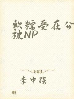 软糯受在公交车被NP