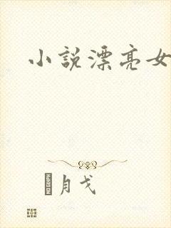 小说漂亮女局长