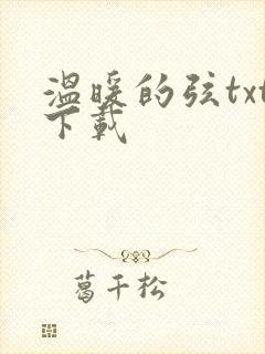 温暖的弦txt下载