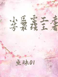 小区电工老周刘芳最强王者