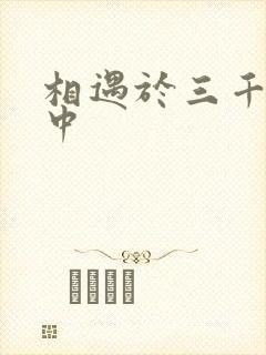 相遇于三千肉文中