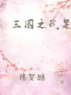 三国之我是华雄