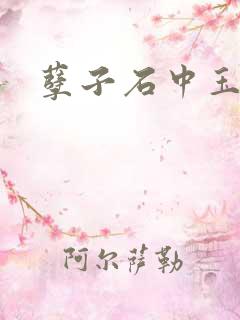孽子石中玉