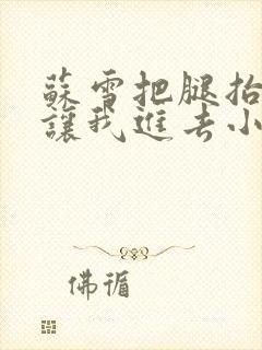 苏雪把腿抬起来让我进去小说