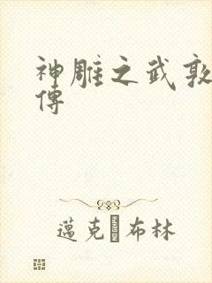 神雕之武敦儒大传