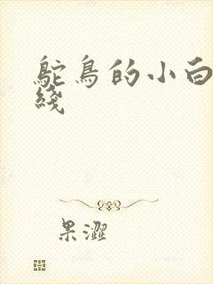 鸵鸟的小白脸路线