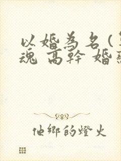 以婚为名 (军魂 高干 婚恋)