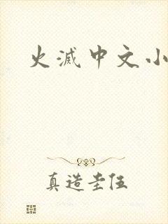 火灭中文小说