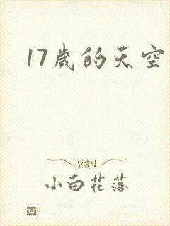 17岁的天空