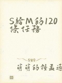 S给M的120条任务