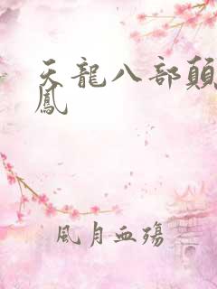 天龙八部颠龙鸾凤