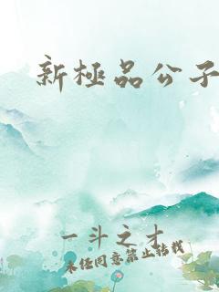 新极品公子