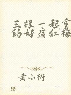 三根一起会坏掉的好痛红梅