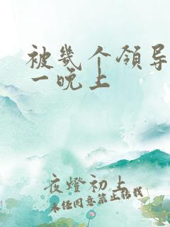 被几个领导玩弄一晚上