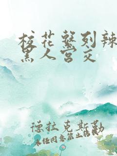 校花系列辣h文黑人宫交