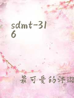 sdmt-316
