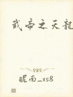 武帝之天龙八部