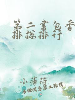 第二书包香辣肉排总排行