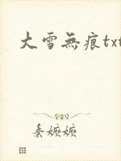 大雪无痕txt