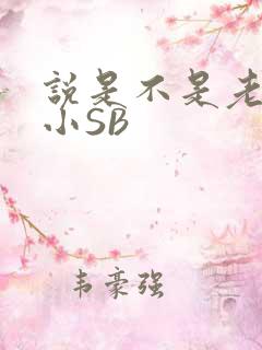 说是不是老公的小SB