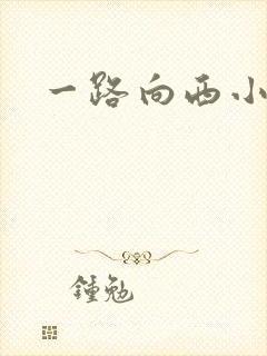 一路向西小说