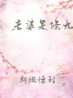 老婆是条九尾狐