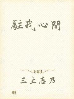 驻我心间