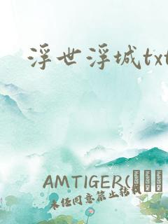 浮世浮城txt