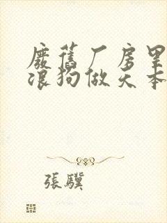 废旧厂房里和流浪狗做天本