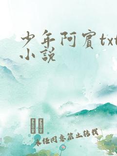 少年阿宾txt小说