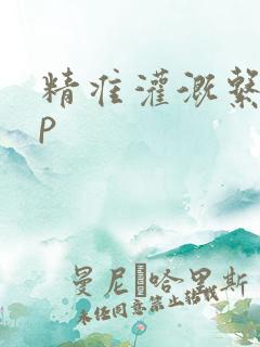 精准灌溉系统hp