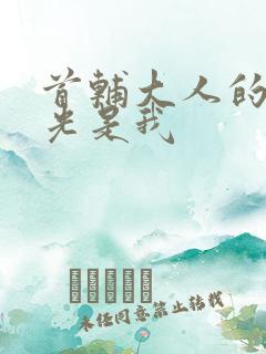 首辅大人的白月光是我