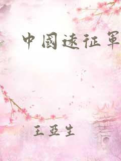 中国远征军小说