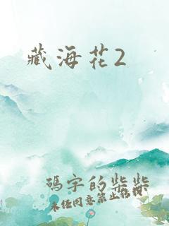 藏海花2