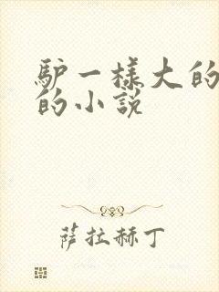 驴一样大的凶器的小说