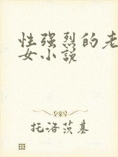 性强烈的老年妇女小说