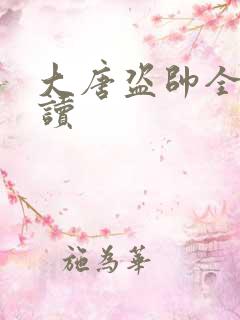 大唐盗帅全文阅读